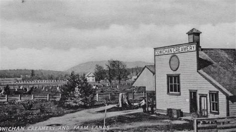 cowichan valley history.